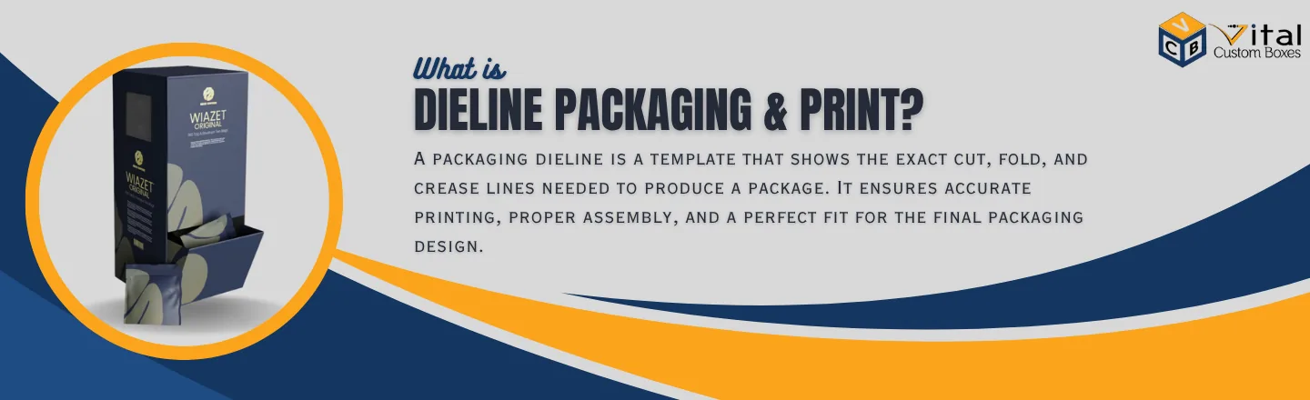 What Is a Dieline in Packaging Print?